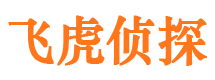 路南侦探公司